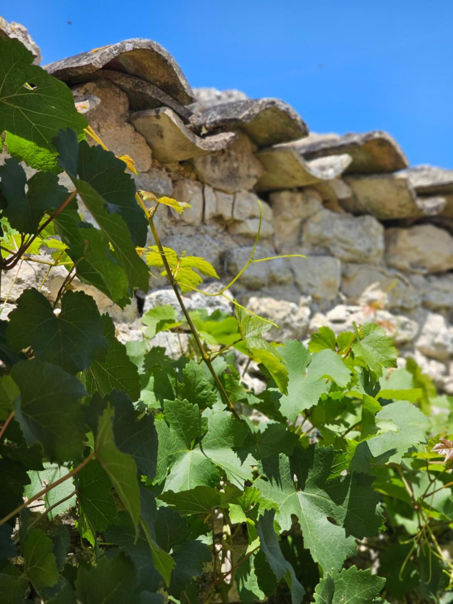 Domaine Slow-Life Thairé エクステリア 写真